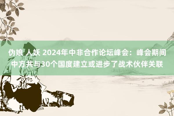 伪娘 人妖 2024年中非合作论坛峰会：峰会期间中方共与30个国度建立或进步了战术伙伴关联