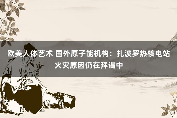 欧美人体艺术 国外原子能机构：扎波罗热核电站火灾原因仍在拜谒中