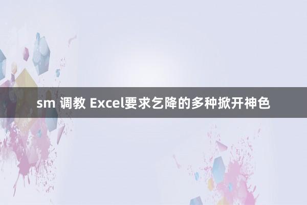 sm 调教 Excel要求乞降的多种掀开神色