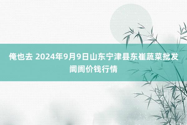 俺也去 2024年9月9日山东宁津县东崔蔬菜批发阛阓价钱行情