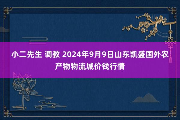 小二先生 调教 2024年9月9日山东凯盛国外农产物物流城价钱行情