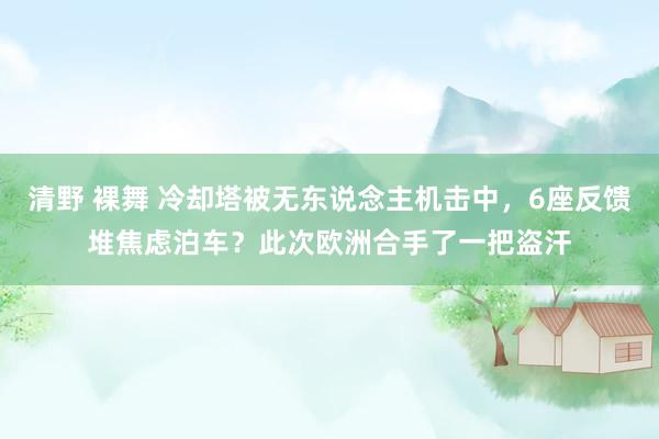 清野 裸舞 冷却塔被无东说念主机击中，6座反馈堆焦虑泊车？此次欧洲合手了一把盗汗