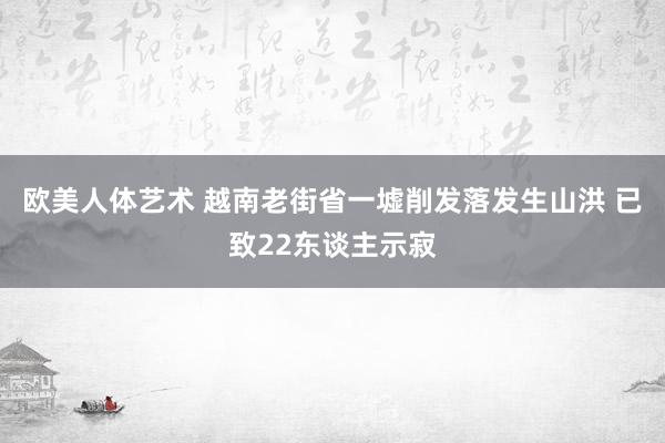 欧美人体艺术 越南老街省一墟削发落发生山洪 已致22东谈主示寂