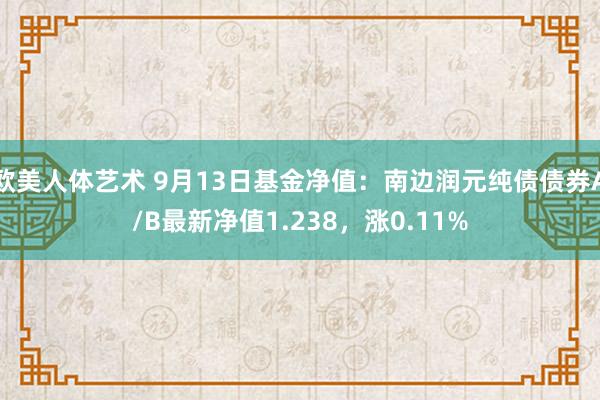 欧美人体艺术 9月13日基金净值：南边润元纯债债券A/B最新净值1.238，涨0.11%