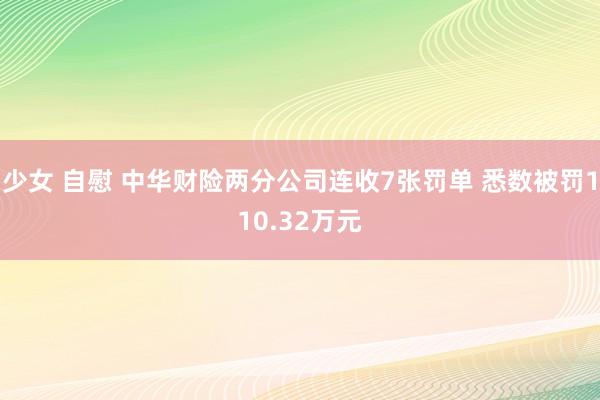 少女 自慰 中华财险两分公司连收7张罚单 悉数被罚110.32万元