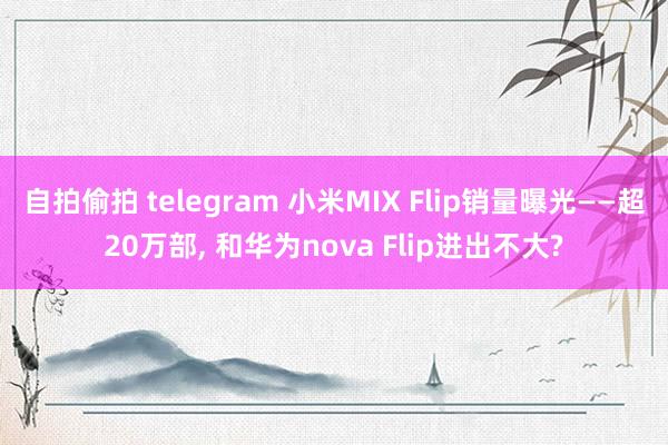 自拍偷拍 telegram 小米MIX Flip销量曝光——超20万部, 和华为nova Flip进出不大?