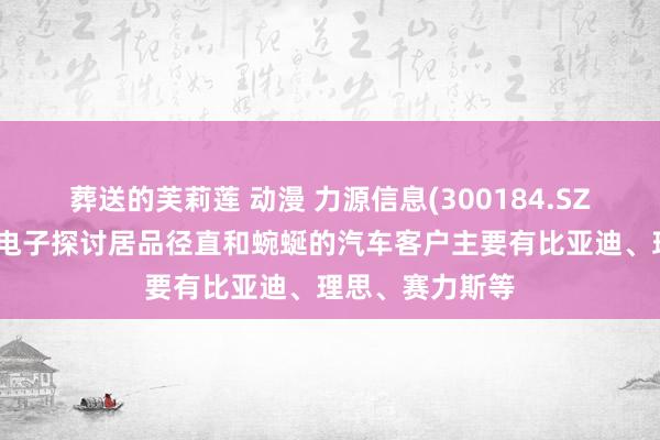 葬送的芙莉莲 动漫 力源信息(300184.SZ)：代理的汽车电子探讨居品径直和蜿蜒的汽车客户主要有比亚迪、理思、赛力斯等