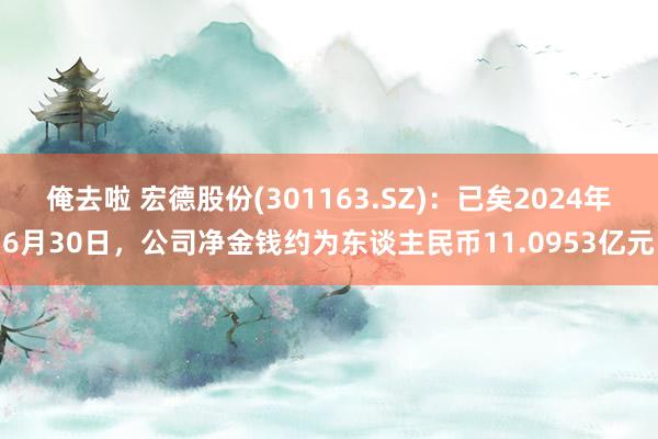 俺去啦 宏德股份(301163.SZ)：已矣2024年6月30日，公司净金钱约为东谈主民币11.0953亿元