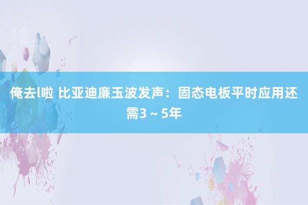 俺去l啦 比亚迪廉玉波发声：固态电板平时应用还需3～5年