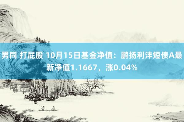 男同 打屁股 10月15日基金净值：鹏扬利沣短债A最新净值1.1667，涨0.04%