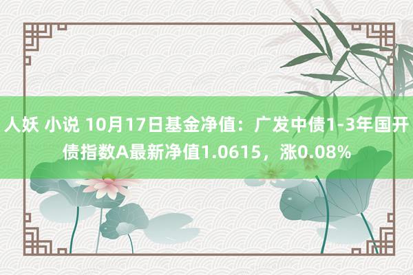 人妖 小说 10月17日基金净值：广发中债1-3年国开债指数A最新净值1.0615，涨0.08%