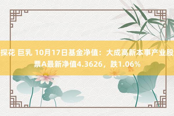 探花 巨乳 10月17日基金净值：大成高新本事产业股票A最新净值4.3626，跌1.06%