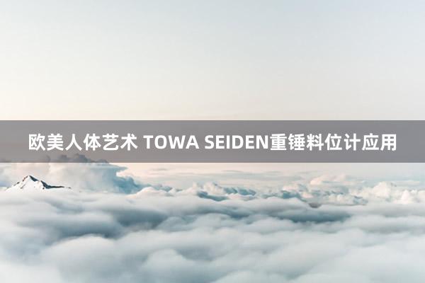 欧美人体艺术 TOWA SEIDEN重锤料位计应用