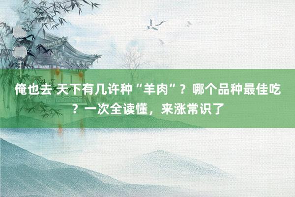 俺也去 天下有几许种“羊肉”？哪个品种最佳吃？一次全读懂，来涨常识了