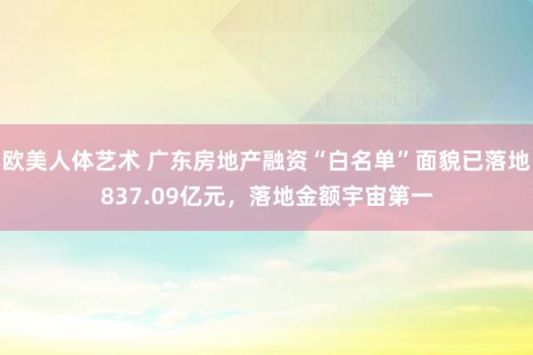 欧美人体艺术 广东房地产融资“白名单”面貌已落地837.09亿元，落地金额宇宙第一