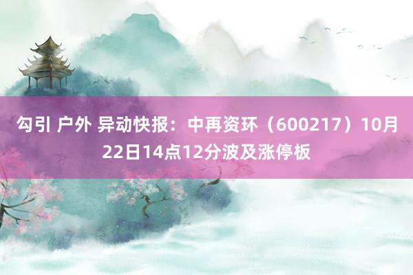 勾引 户外 异动快报：中再资环（600217）10月22日14点12分波及涨停板