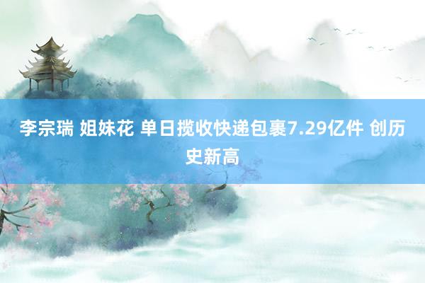 李宗瑞 姐妹花 单日揽收快递包裹7.29亿件 创历史新高