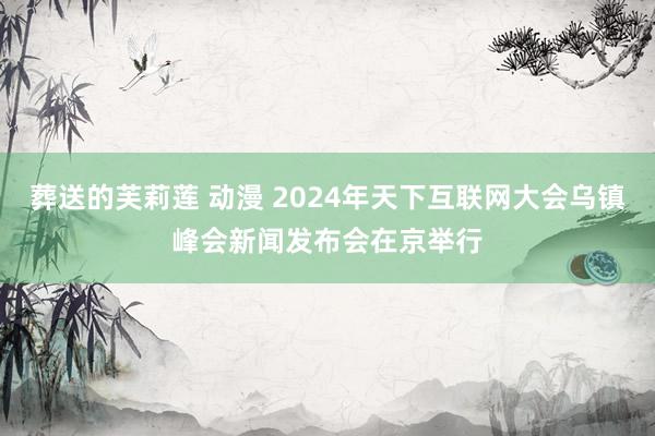 葬送的芙莉莲 动漫 2024年天下互联网大会乌镇峰会新闻发布会在京举行