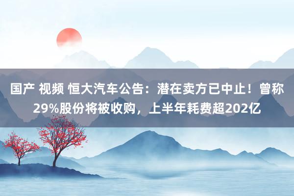 国产 视频 恒大汽车公告：潜在卖方已中止！曾称29%股份将被收购，上半年耗费超202亿