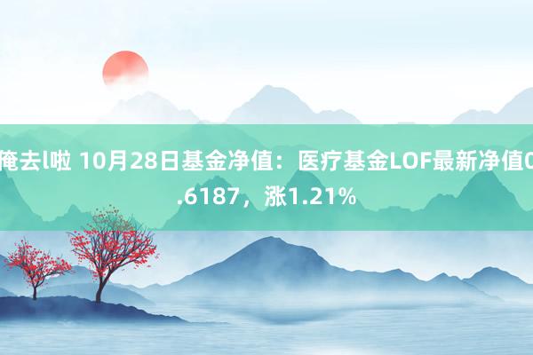 俺去l啦 10月28日基金净值：医疗基金LOF最新净值0.6187，涨1.21%