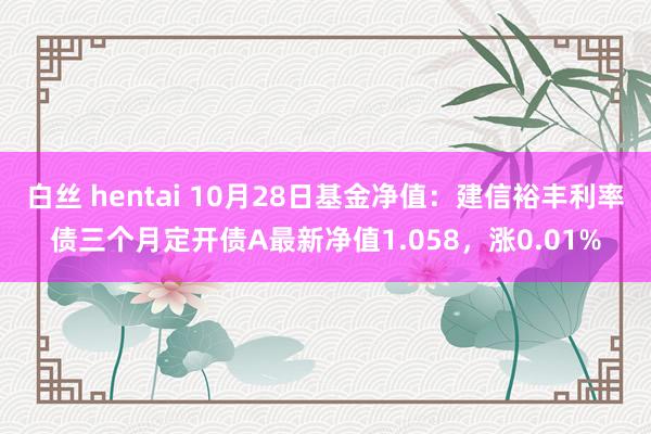 白丝 hentai 10月28日基金净值：建信裕丰利率债三个月定开债A最新净值1.058，涨0.01%