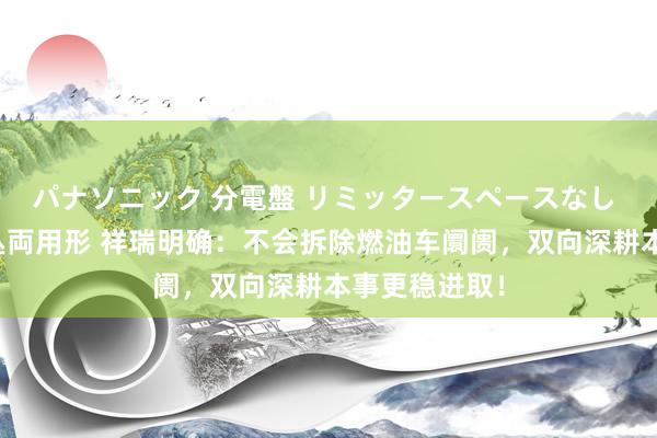 パナソニック 分電盤 リミッタースペースなし 露出・半埋込両用形 祥瑞明确：不会拆除燃油车阛阓，双向深耕本事更稳进取！