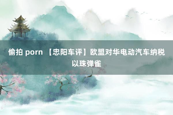 偷拍 porn 【忠阳车评】欧盟对华电动汽车纳税以珠弹雀