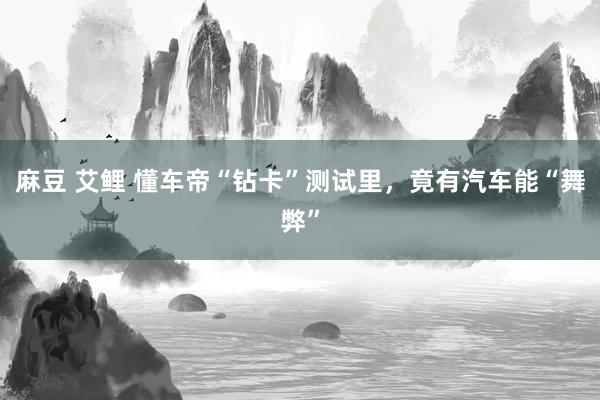 麻豆 艾鲤 懂车帝“钻卡”测试里，竟有汽车能“舞弊”