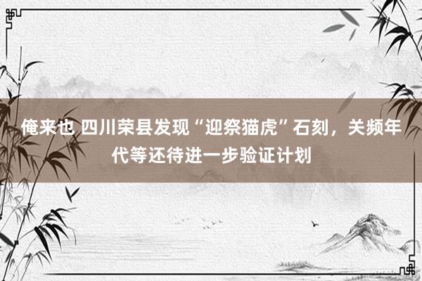 俺来也 四川荣县发现“迎祭猫虎”石刻，关频年代等还待进一步验证计划