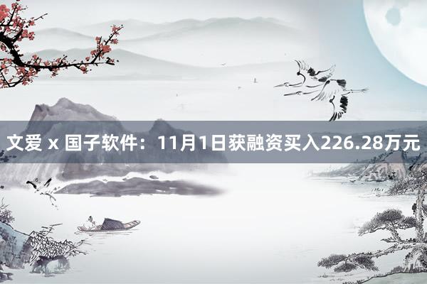 文爱 x 国子软件：11月1日获融资买入226.28万元