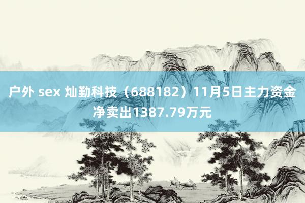 户外 sex 灿勤科技（688182）11月5日主力资金净卖出1387.79万元