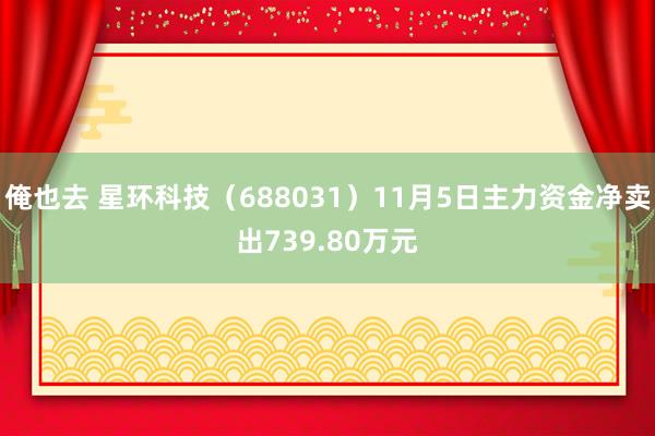 俺也去 星环科技（688031）11月5日主力资金净卖出739.80万元