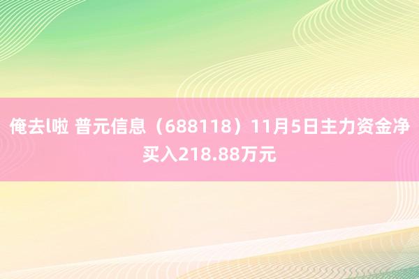 俺去l啦 普元信息（688118）11月5日主力资金净买入218.88万元