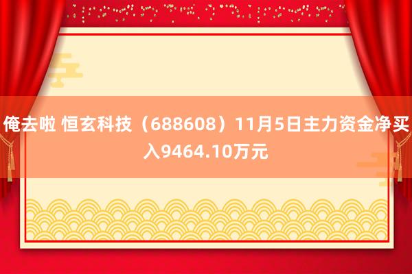 俺去啦 恒玄科技（688608）11月5日主力资金净买入9464.10万元