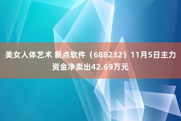 美女人体艺术 新点软件（688232）11月5日主力资金净卖出42.69万元