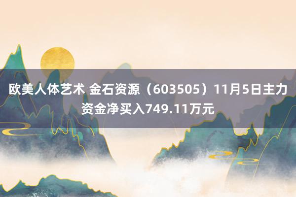 欧美人体艺术 金石资源（603505）11月5日主力资金净买入749.11万元