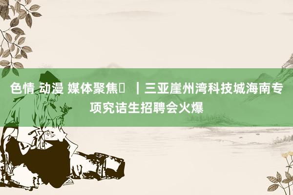 色情 动漫 媒体聚焦​｜三亚崖州湾科技城海南专项究诘生招聘会火爆