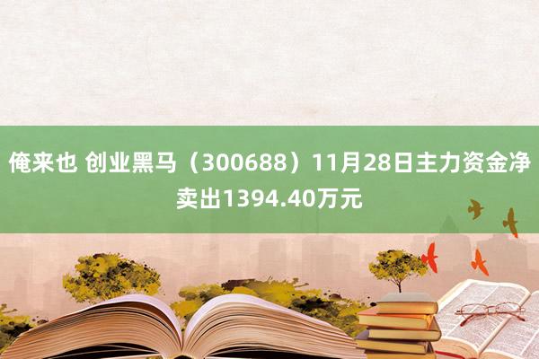 俺来也 创业黑马（300688）11月28日主力资金净卖出1394.40万元