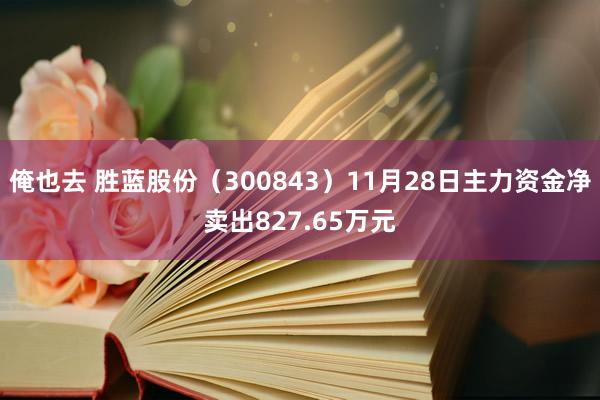 俺也去 胜蓝股份（300843）11月28日主力资金净卖出827.65万元