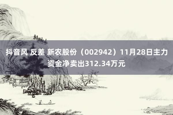 抖音风 反差 新农股份（002942）11月28日主力资金净卖出312.34万元