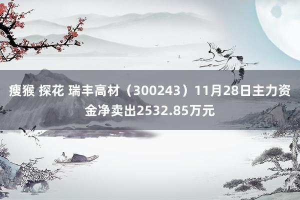 瘦猴 探花 瑞丰高材（300243）11月28日主力资金净卖出2532.85万元