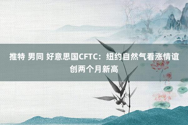 推特 男同 好意思国CFTC：纽约自然气看涨情谊创两个月新高