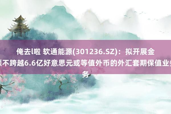 俺去l啦 软通能源(301236.SZ)：拟开展金额不跨越6.6亿好意思元或等值外币的外汇套期保值业务