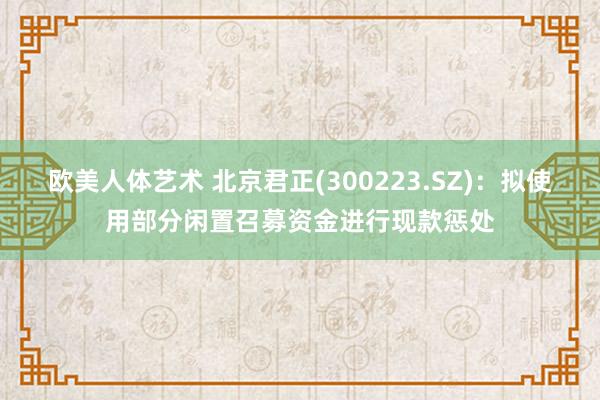 欧美人体艺术 北京君正(300223.SZ)：拟使用部分闲置召募资金进行现款惩处