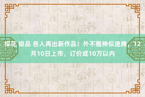 探花 极品 各人再出新作品！外不雅神似速腾，12月10日上市，订价或10万以内