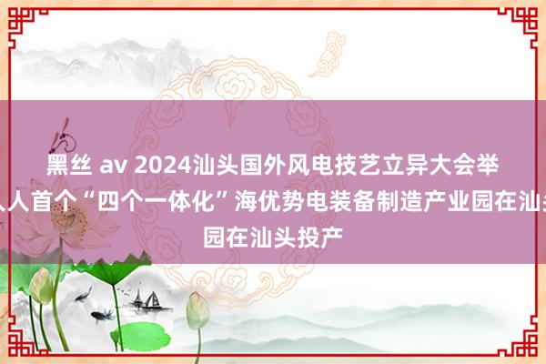 黑丝 av 2024汕头国外风电技艺立异大会举行，人人首个“四个一体化”海优势电装备制造产业园在汕头投产