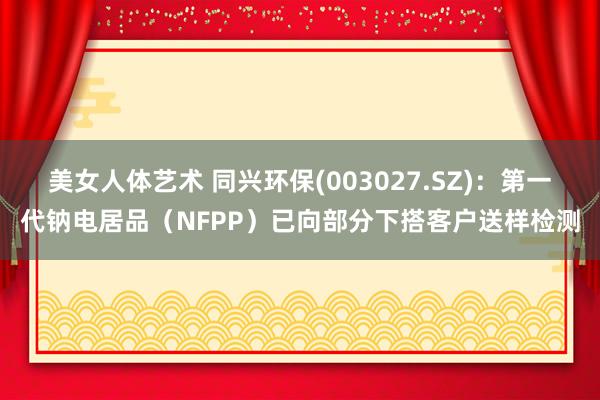 美女人体艺术 同兴环保(003027.SZ)：第一代钠电居品（NFPP）已向部分下搭客户送样检测