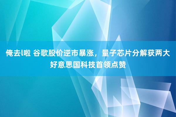 俺去l啦 谷歌股价逆市暴涨，量子芯片分解获两大好意思国科技首领点赞