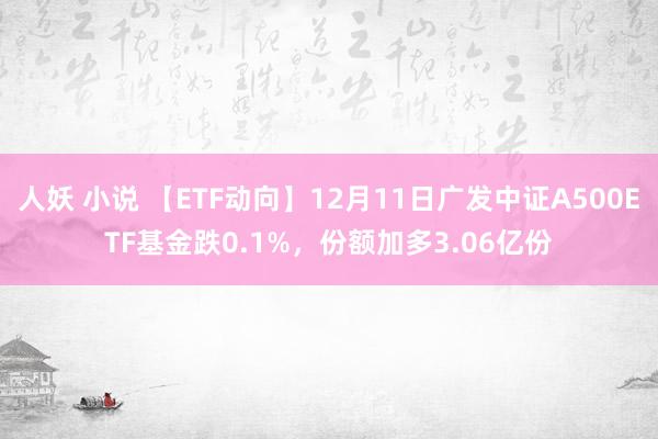 人妖 小说 【ETF动向】12月11日广发中证A500ETF基金跌0.1%，份额加多3.06亿份