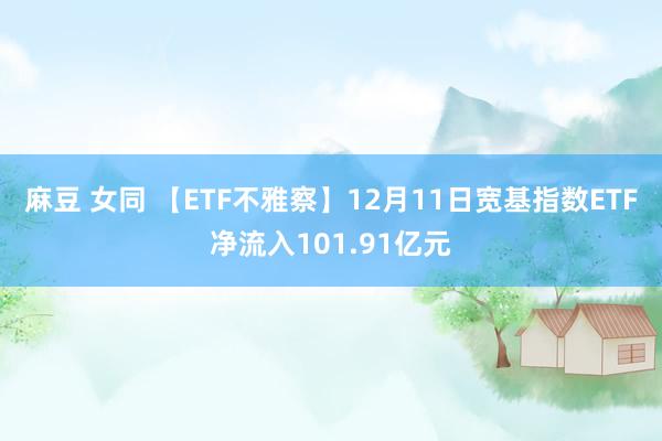 麻豆 女同 【ETF不雅察】12月11日宽基指数ETF净流入101.91亿元